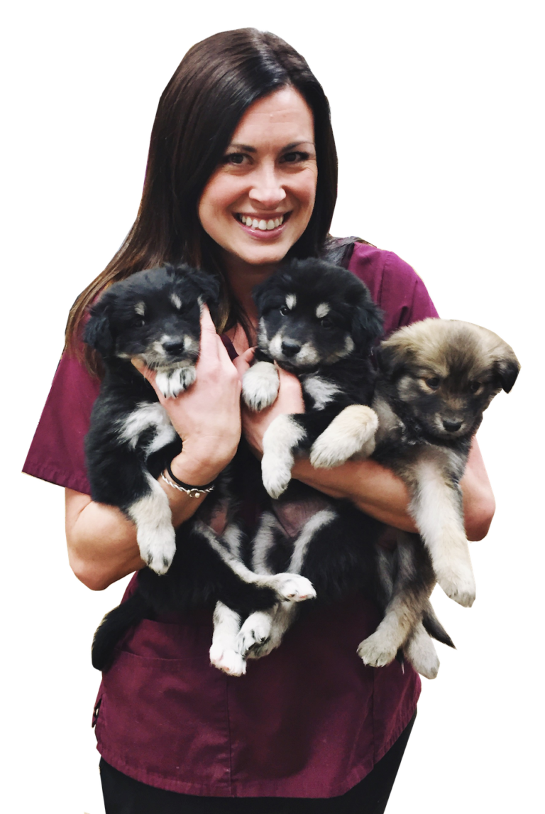 Alicia pet care information