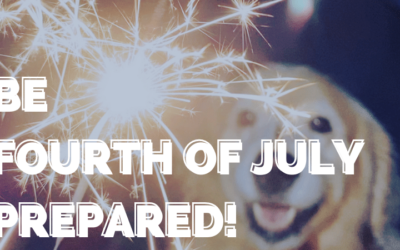 10 Tips To Keep Your Pet Safe This 4th of July