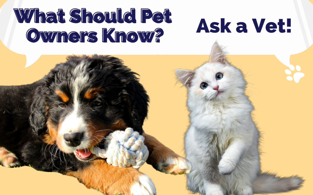 What Should All Pet Owners Know?