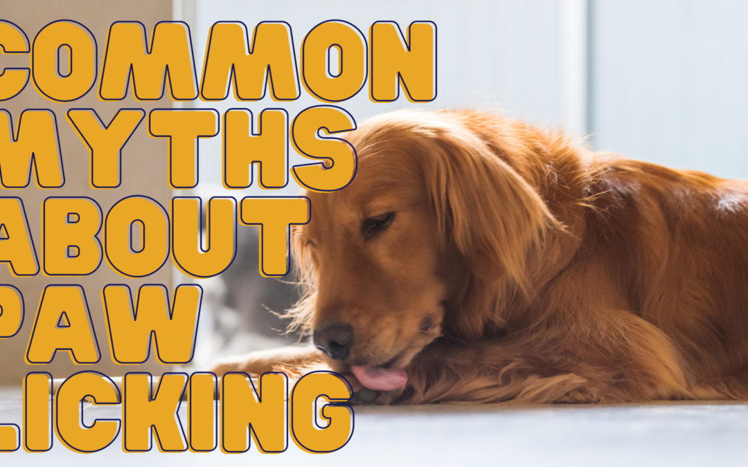 Common Myths about Paw Licking