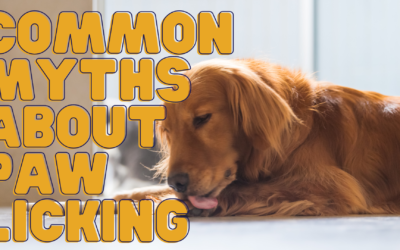 Common Myths about Paw Licking