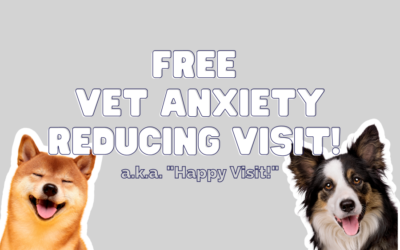 Free Happy Visit