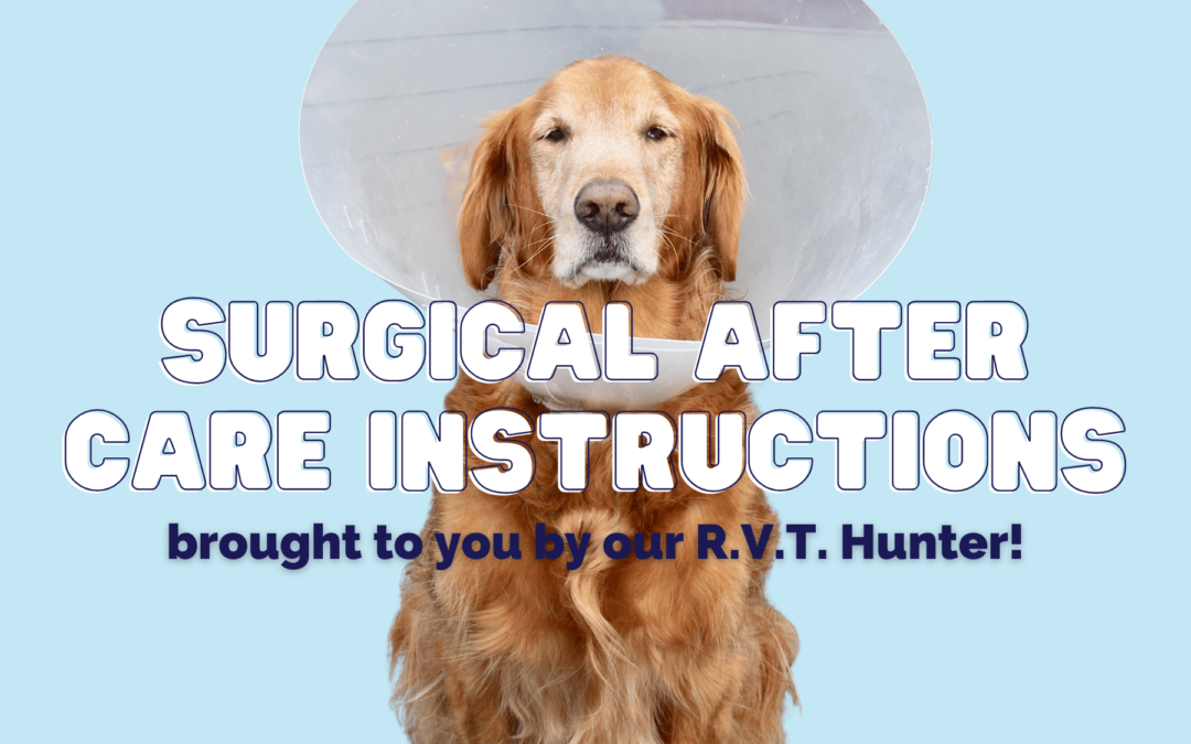Surgical After Care Instructions