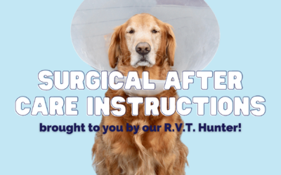Surgical After Care Instructions