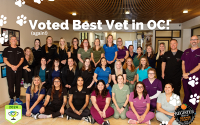 Best Vet in OC: Alicia Pet Care Center