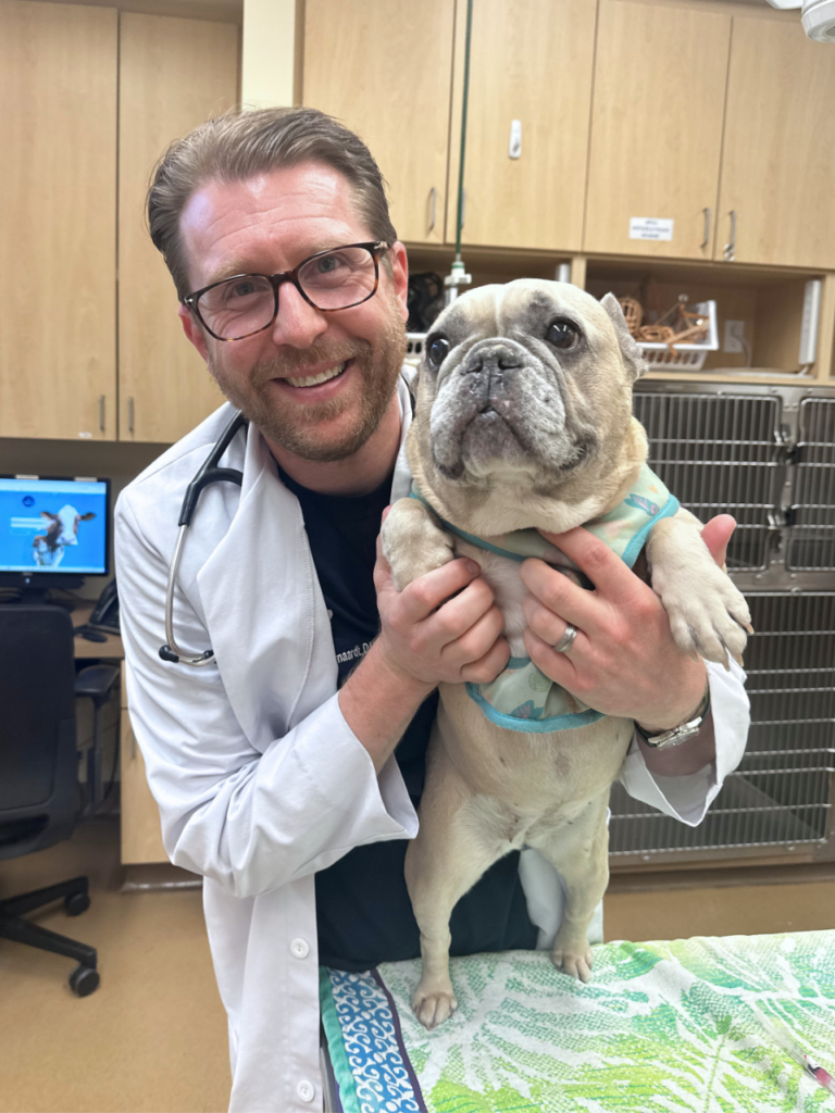 nathan fynaardt brachycephalic